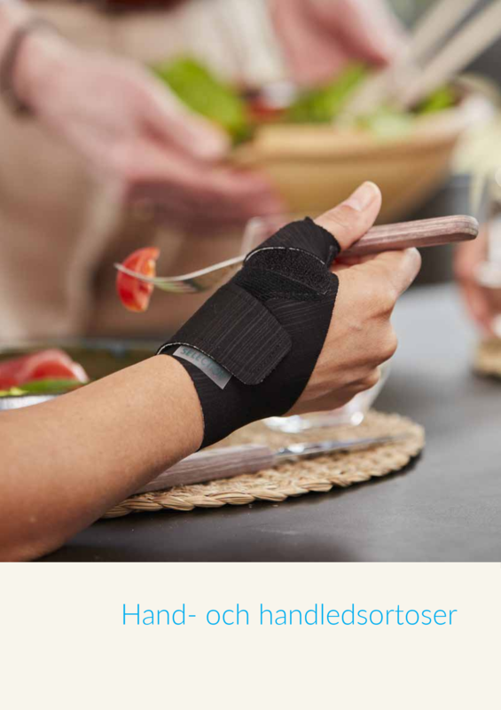 Hand_Handled_Camp_SE.pdf